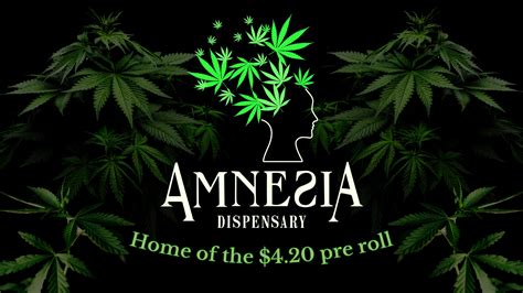 Amnesia dispensary - 2629 Nw Cache Rd Ste 3. Lawton, OK, 73505. 8AM-12AM Daily. Amnesia OG from Karma Genetics combines two of their famous strains, Amnesia and Biker Kush, to produce this sativa-dominant heavy-hitter. Amnesia has won numerous awards and by crossing it with Biker Kush, it creates heavier, full-body effects that pair well with the potent cerebral ...